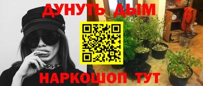 ПСИЛОЦИБИНОВЫЕ ГРИБЫ Пушкино