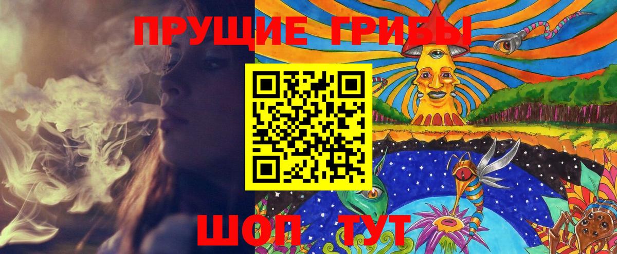 Псилоцибиновые грибы GOLDEN TEACHER Оренбург